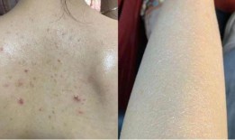 吃鸡皮肤爆料最新一块钱,最新爆料引玩家热议