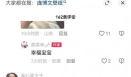 庞博文粉丝爆料视频,揭秘偶像幕后故事