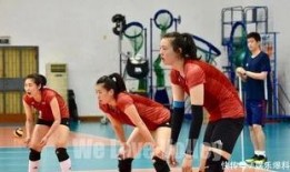 集训爆料女排视频大全最新,最新视频大全精彩瞬间回顾